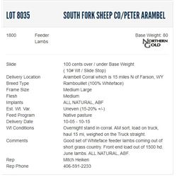 South Fork Sheep Co/Peter Arambel - 1800 Feeder Lambs