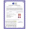 Image 2 : Genuine 3.3 ctw Ruby Earrings 14KT Rose Gold - REF-59T2A