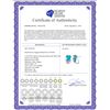 Image 2 : 12.26 CTW Turquoise & Diamond Earrings 14K White Gold - REF-75X3R