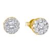 Image 1 : Womens Round Diamond Flower Cluster Stud Earrings 1/2 Cttw 14kt Yellow Gold - REF-32H5R