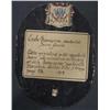 Image 2 : FRENCH MINATURE PORTRAIT, French School