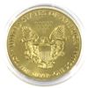 Image 2 : 2018 USA 1oz Fire Eagle Coloured & Gilded .999 Fine Silver Eagle in Capsule. (TAX Exempt)