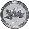 Image 1 : 2020 Canada 2oz Twin Maples .9999 Fine Silver Coin. (TAX Exempt)