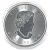 Image 2 : 2016 Canada 1oz Coloured .9999 Fine Silver Maple Leaf in Capsule. (TAX Exempt)