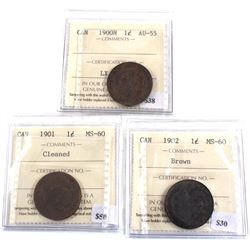 Group Lot 3x 1-cent ICCS Certified. Lot includes: 1900H AU-55, 1901 MS-60 cleaned, 1902 MS-60 Brown.