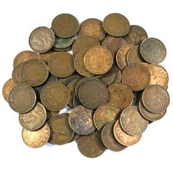 60x Canada  George V Large cents.