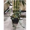 Image 2 : FAUX PLANT IN PLANTER