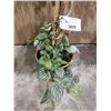 Image 2 : FAUX PLANT IN PLANTER