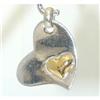 Image 1 : 1160 Silver Pendant