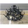 Image 1 : Antler Chandelier