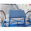 Image 3 : Single Horse Buggy