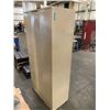 Image 2 : Steel Locker Set