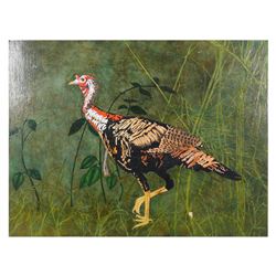 EDIE, Wild Turkey, Oil on Board