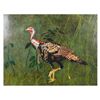 Image 1 : EDIE, Wild Turkey, Oil on Board