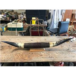 SET OF MOUNTED LONG HORN HORNS