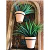 Image 2 : PLASTIC PLANT WALL HANGING