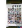 Image 9 : PRIVATE COLLECTOR FROM AN ESTATE BINDER OF FOOTBALL CARDS 105 SHEETS OF 6 PHOTOS