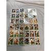 Image 14 : PRIVATE COLLECTOR FROM AN ESTATE BINDER OF FOOTBALL CARDS 67 SHEETS OF 9 PHOTOS