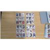 Image 22 : PRIVATE COLLECTOR FROM AN ESTATE BINDER OF HOCKEY CARDS 98 SHEETS OF 9 CARDS/SHEET