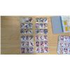 Image 30 : PRIVATE COLLECTOR FROM AN ESTATE BINDER OF HOCKEY CARDS 98 SHEETS OF 9 CARDS/SHEET