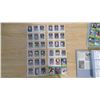 Image 27 : PRIVATE COLLECTOR FROM AN ESTATE BINDER OF HOCKEY CARDS 99 SHEETS OF 9 CARDS/SHEET