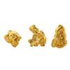 Image 2 : Lot of Gold Nuggets 3.97 Grams Gold Weight