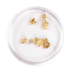Lot of Gold Nuggets 2.00 Grams Gold Weight