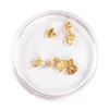Image 1 : Lot of Gold Nuggets 2.00 Grams Gold Weight