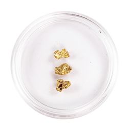 Lot of Gold Nuggets 1.51 Grams Gold Weight