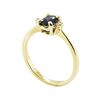 Image 4 : 0.69 ctw Blue Sapphire and Diamond Ring - 14KT Yellow Gold