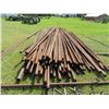 Image 2 : APPROX. 100 PIECES OF DRILL PIPE (APPROX 24')