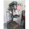 Image 2 : STAR 12 SPEED BENCH DRILLING MACHINE & STAND