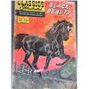 Image 1 : BUNDLE OF 5 VINTAGE COMICS - BLACK BEAUTY, THE BUCCANEER, ON THE JUNGLE, WESTERN STORIES, MOBY DICK