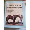 Image 5 : 6 BOOKS (HORSE & VET)