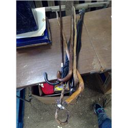 5 CANES AND AN UMBRELLA