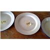 Image 3 : 3 ENAMEL PLATES