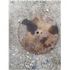 Image 1 : CIRCULAR SAW BLADE 22"