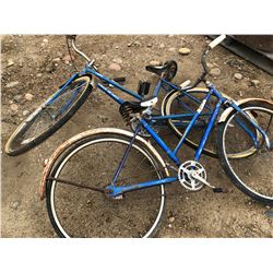 OLD BLUE BIKE 3 ( FREE SPIRIT ) + RUSTY BLUE BIKE