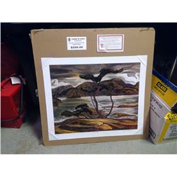 (GROUP OF SEVEN ) PRINT " WHITE PINE " BY A.Y. JACKSON