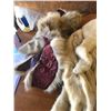 Image 4 : 2 FUR COATS + CLOTHING BAG