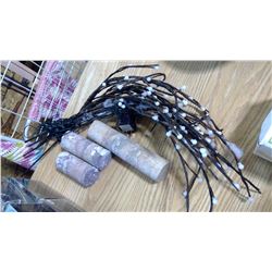 ROCK CORE SAMPLE AND ELECTRIC PUSSY WILLOW LIGHTS