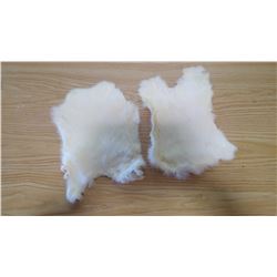 2 WHITE RABBIT PELTS