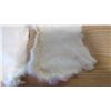Image 4 : 2 WHITE RABBIT PELTS