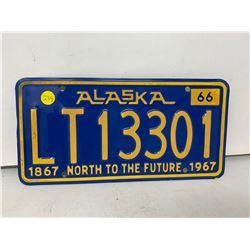 Alaska Motor Home License Plate