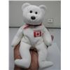 Image 2 : MAPLE BEANIE BEAR in PLASTIC CASE - DETACHED EAR TAG