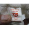Image 6 : MAPLE BEANIE BEAR in PLASTIC CASE - DETACHED EAR TAG