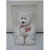 Image 7 : MAPLE BEANIE BEAR in PLASTIC CASE - DETACHED EAR TAG