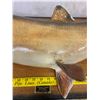 Image 2 : LARGE TROUT - GREAT CONDITION