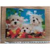 Image 1 : 3-D color photo of 3 Maltese dogs on 3/8" board 15.5" X 11.5"