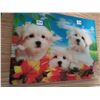 Image 2 : 3-D color photo of 3 Maltese dogs on 3/8" board 15.5" X 11.5"